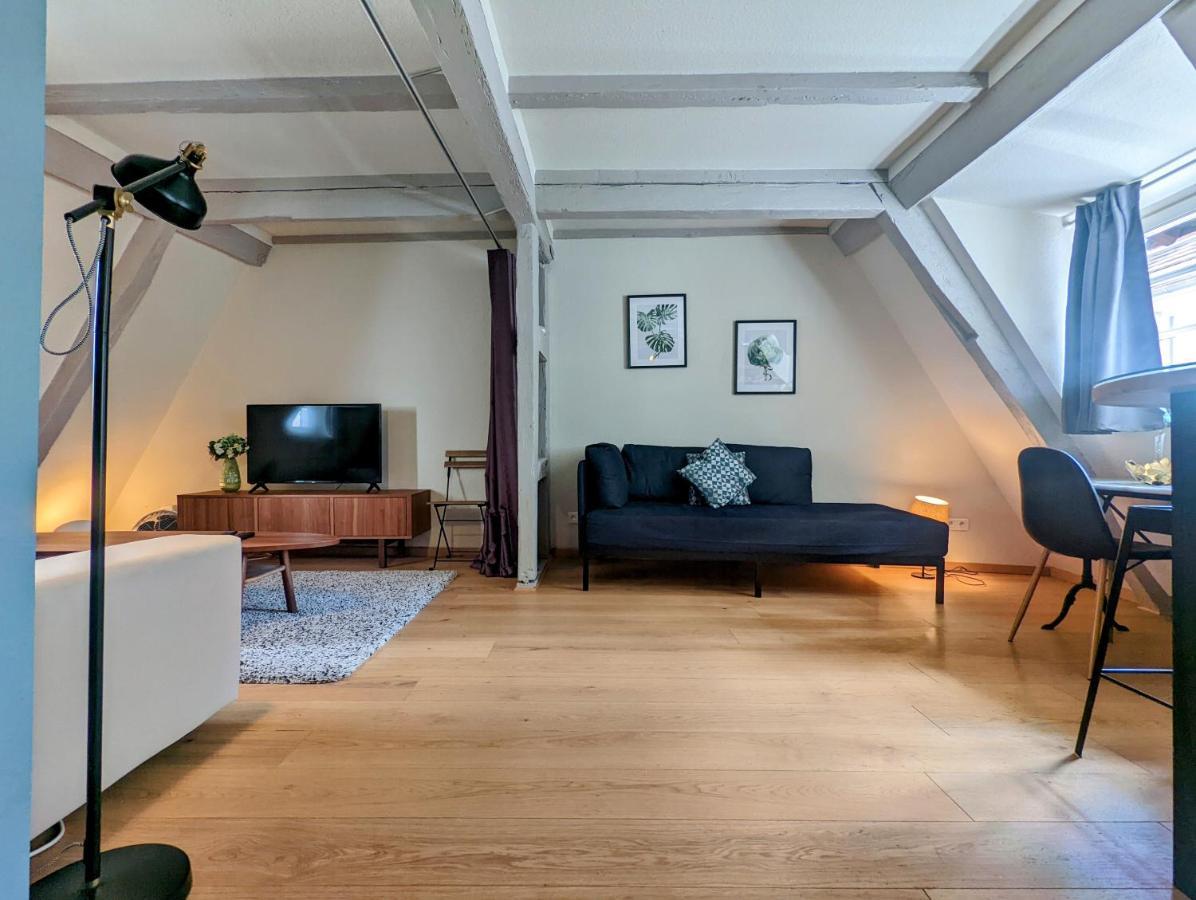 Citycosy Strasbourg - Authentique Batelier Zewnętrze zdjęcie