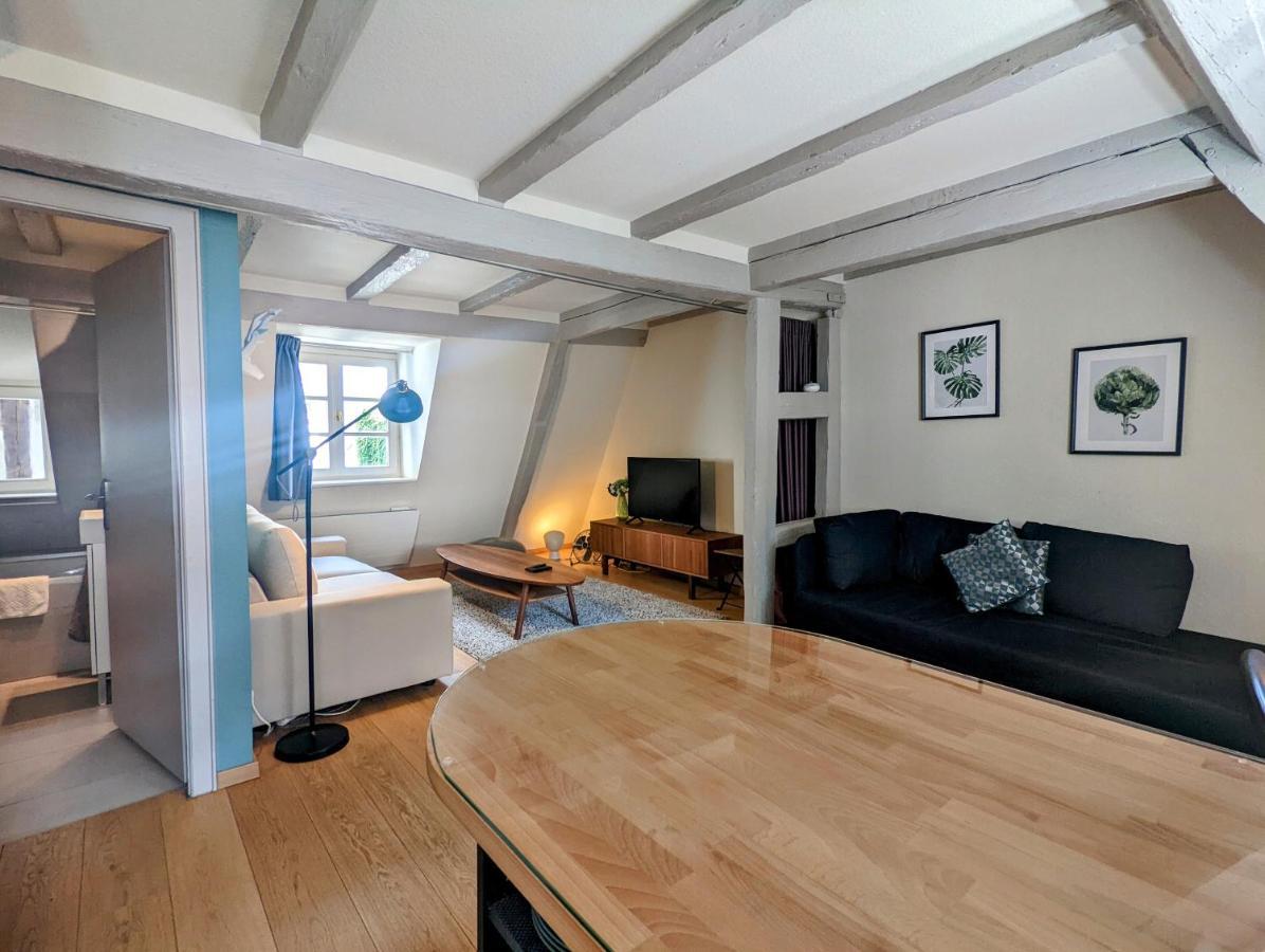 Citycosy Strasbourg - Authentique Batelier Zewnętrze zdjęcie