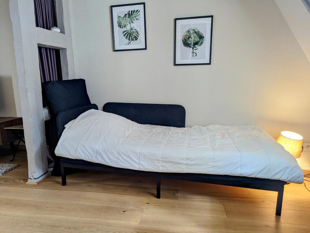 Citycosy Strasbourg - Authentique Batelier Zewnętrze zdjęcie