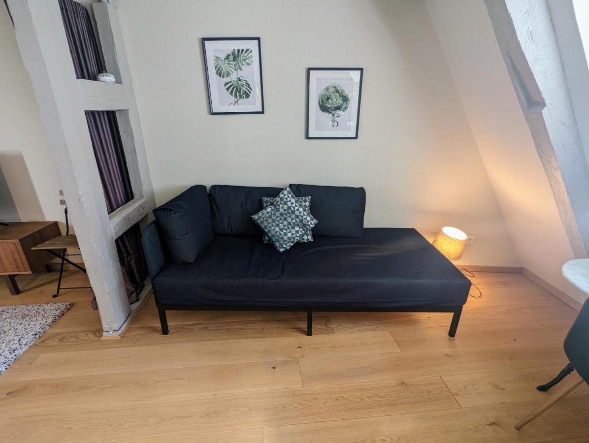 Citycosy Strasbourg - Authentique Batelier Zewnętrze zdjęcie